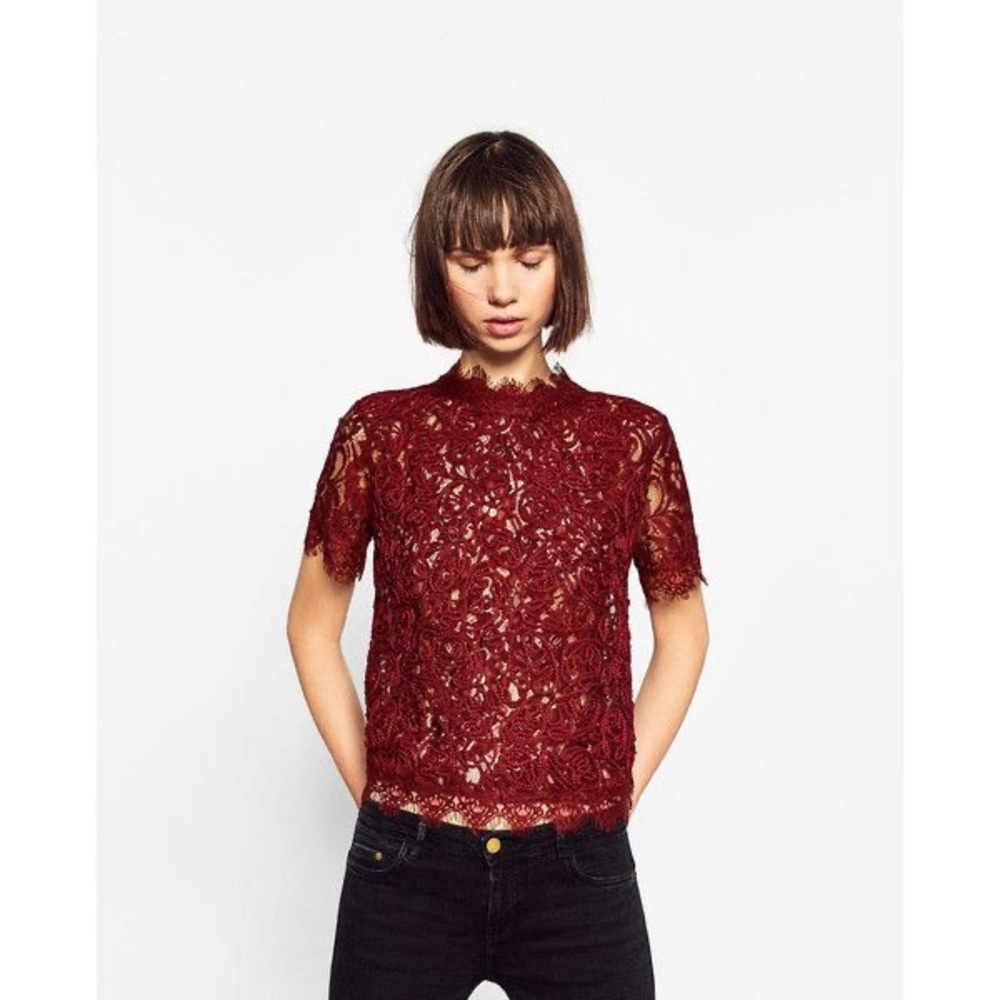 Zara Trafaluc Burgundy Lace Top
